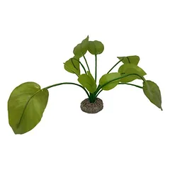 Aqua Della Aquarium Dekoration Anubias 2 grün