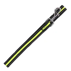 Dog Fantasy Leash Neoprene S lime pavadėlis mažų veislių šunims su atspindinčiais elementais, 2×120 cm