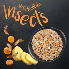 Greenwoods Insects su vabzdžiais, bulvėmis ir morkomis, drėgnas maistas šunims, Sparpaket: 24 x 375 g — 4 nuotrauka