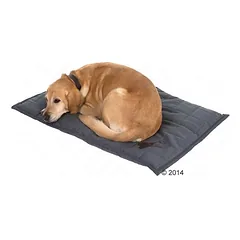 zooplus Exclusive patiesalas Freedom Bone, apie L 100 x B 70 x H 4 cm — 3 nuotrauka