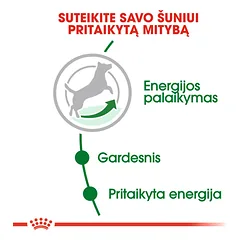 ROYAL CANIN SHN Mini adult 8 plus sausas maistas vyresniems mažų veislių šunims 2kg — 3 nuotrauka