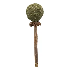 Trixie Matatabi Lolly 11 cm parduotuvėje sunu.lt