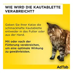 AdTab kramtomosios tabletės katėms, 2-8 kg, 3 kramtomosios tabletės — 4 nuotrauka