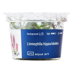 Akvariumo augalas Limnophila hippuridoides — 3 nuotrauka