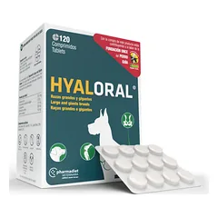 Hyaloral Giant N120 papildai sąnariams