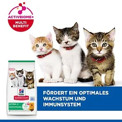 Hill's Science Plan Kitten Huhn, 3 - 4,9 kg — 4 nuotrauka
