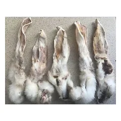 Rabbit ear with fur 100g — 3 nuotrauka