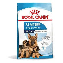 Royal Canin Maxi Starter Mother & Babydog sausas maistas šunims — 2 nuotrauka