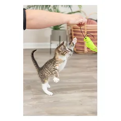 Trixie “Vabzdžiai” veltinio žaislas katėms su katžole, 11 cm, 1 vnt. — 5 nuotrauka