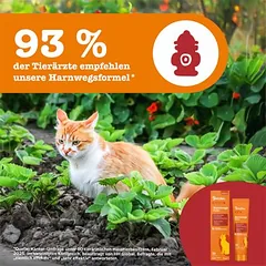 Zesty Paws Cat Urinary Care pasta katėms — 3 nuotrauka
