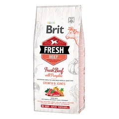 Brit Fresh Beef with Pumpkin Puppy Large