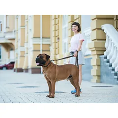 Vandeniui atsparus šunų pavadėlis Evolutor, ypač tvirtas, patvarus, juodas, 300 cm, 25 mm — 3 nuotrauka