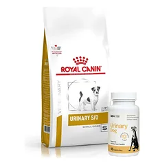 ROYAL CANIN Urinary S/O USD 20 Mažas šuo 4kg + LAB-V Urinary Dog - Pagalba šunims sergant šlapimo takų infekcija 45 kapsulės