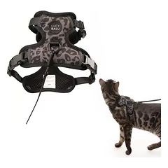 LucyBalu Katzengeschirr EXPLORER