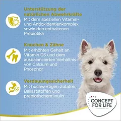 Concept for Life Mini Puppy & Junior sausas maistas šuniukams — 3 nuotrauka