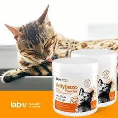 Lab-v Antybezo milteliai – padeda pašalinti plaukų kamuoliukus ir gerina kačių virškinimą 2x150 g