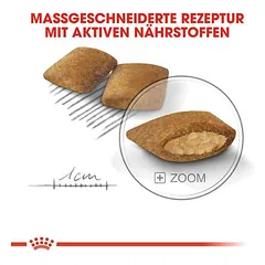 Royal Canin Mini Exigent sausas maistas šunims — 3 nuotrauka