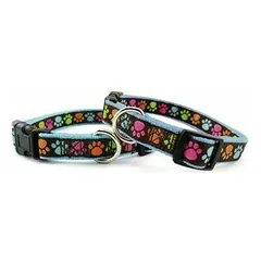 Dog collar 1,9 x 45-50 cm Light blue