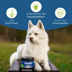 Wolfsbacher Natur Z-Schild skanėstai šunims, > 250 g — 2 nuotrauka