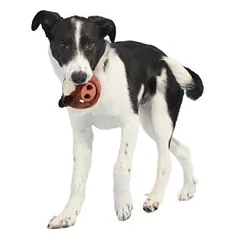Bark Hundespielzeug Wild Boris