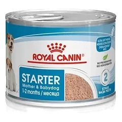 Royal Canin Starter Mousse konservai šuniukams ir kalėms 6×195 g