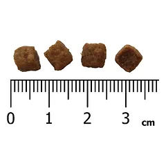 IRONpet BEEF Mini Adult vieno baltymo pašaras suaugusiems šunims, 1.5 kg — 3 nuotrauka