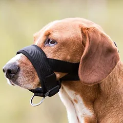 Trixie Muzzle Loop šunų antsnukis nailoninis su neopreno paminkštinimu, XL-XXL, kaklo dirželio apimtis 28-38 cm, snukio dirželio apimtis 38-28 cm, juodas