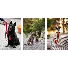 Pavadėlis šunims HUGGY DOGGY Walky 2m, tvirtas, atspindintis šviesą, S dydis, juodas — 3 nuotrauka
