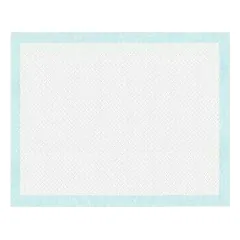 Record Puppy Training Pads 60x90cm 100 pcs. — 2 nuotrauka