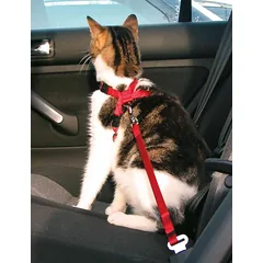 Trixie Car Harness For Cats katės krūtinės diržas su pavadėliu, reguliuojamas, raudonas, 20–50 cm/15 mm — 2 nuotrauka