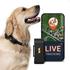 PAJ GPS sekimo prietaisas šunims – Pet Finder 4G, Pilka — 2 nuotrauka