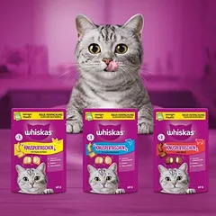 Whiskas traškios pagalvėlės, mišri dėžė, skanėstai katėms, 50 - 79 g — 2 nuotrauka
