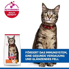 Hill's Science Plan Adult 1-6 su vištiena, sausas maistas katėms, > 10 kg — 4 nuotrauka