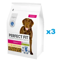 PERFECT FIT Adult 1+ sausas visavertis ėdalas suaugusiems didelių veislių šunims su vištiena 3x2,6 kg