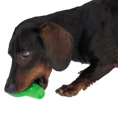 TIAKI žaislas šunims Latekso kaktusas, Mažiems 5–10 kg — 3 nuotrauka