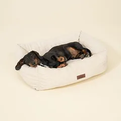 Modern Living guolis šunims Lucca, kreminis, Vidutiniams 11–25 kg — 3 nuotrauka