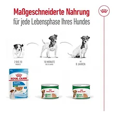 Royal Canin Mini Ageing Mousse drėgnas maistas šunims — 5 nuotrauka