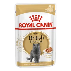 Drėgnas pašaras Britų trumpaplaukėms katėms virš 12 mėnesių amžiaus. (gabalėliai padaže) Royal Canin