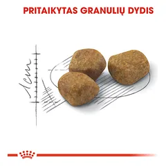 ROYAL CANIN FHN Indoor+7 sausas maistas suaugusioms vyresnio amžiaus katėms 400 g — 4 nuotrauka