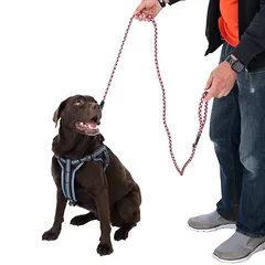 TIAKI atspindintis pintas pavadėlis, Ilgis: apie 180 cm — 3 nuotrauka