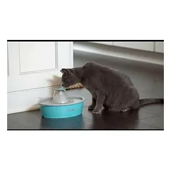 PetSafe Drinkwell Butterfly Pet Fountain 1.5L - fontanas katėms ir mažiems šunims, su drugelio dizainu — 2 nuotrauka