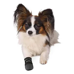 Trixie Walker Protective Boots S apsauginiai batai šunims, 1 pora — 2 nuotrauka