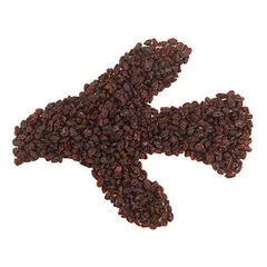 Lillebro lesalo razinos paukščiams, 1 kg — 4 nuotrauka