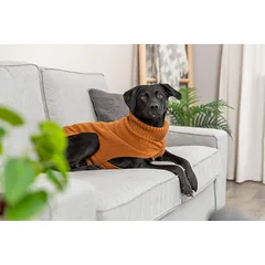 Trixie CityStyle Berlin Dog Pullover, Size S 33 cm, Rust parduotuvėje Petz.lt