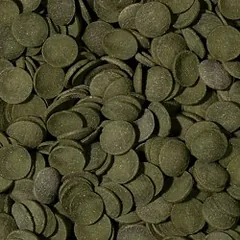Tropical Green Algae Wafers pašaras dugninėms žuvims 100 ml — 2 nuotrauka