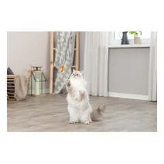 Trixie Playing Rod Fish meškerėlė katėms su žuvele, plastikas/pliušas, 46 cm — 2 nuotrauka