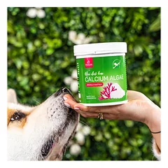 Pokusa Raw Diet Calcium Algae - kalcis iš dumblių, palaikantis šunų ir kačių kaulus, raumenis ir dantis, Czerwonych / 450g — 2 nuotrauka