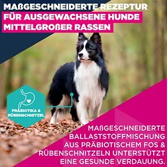Eukanuba Premium Nutrition Adult Medium Breed su vištiena, sausas maistas šunims, 3 - 4,9 kg — 4 nuotrauka