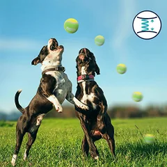 Nobleza teniso kamuoliukai šunims, 3 vnt. — 5 nuotrauka