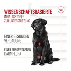 Royal Canin Digestion Adult Supplement kramtomieji skanėstai šunims — 3 nuotrauka